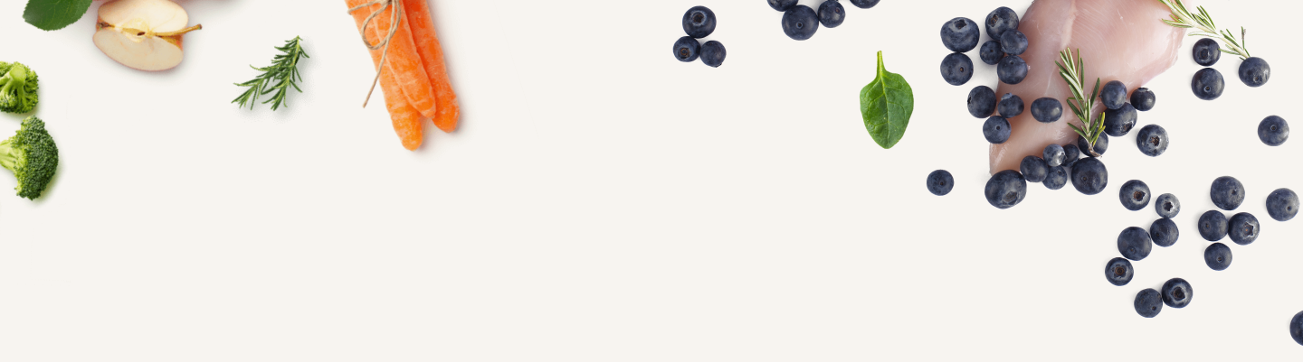 Blog Post 2