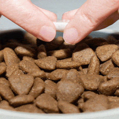 Probiotico per la digestione