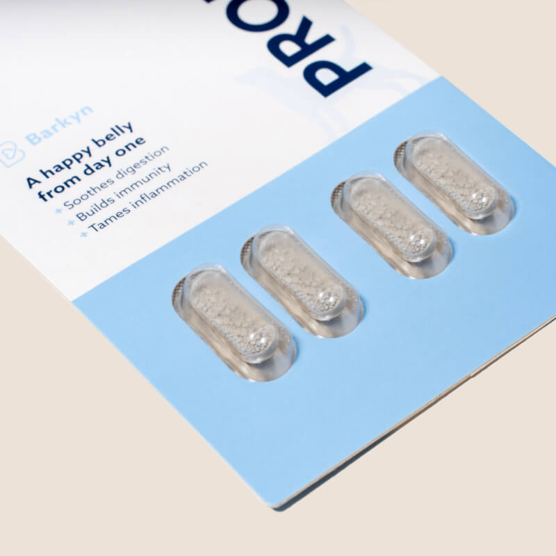 Probiotico per la digestione