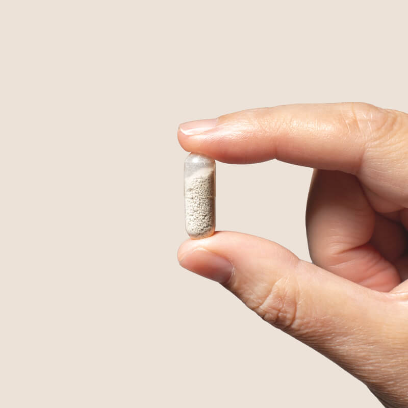 Probiotico per la digestione