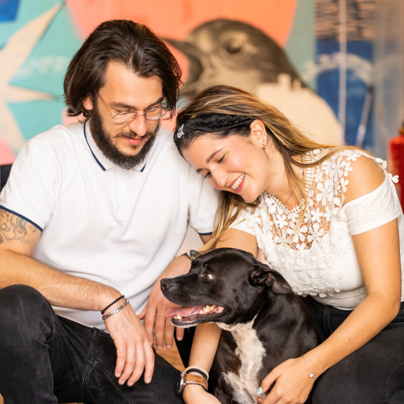 Piano alimentare del tuo cane - 7 mesi