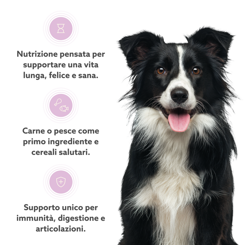 Cibo Anti-Ageing Light