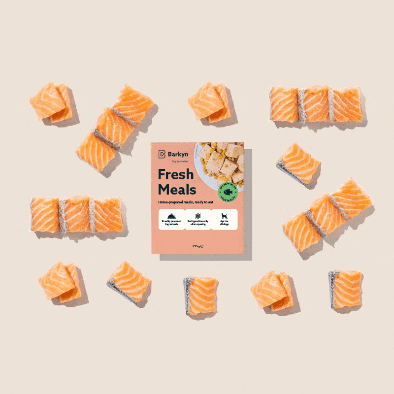 Pack Alimentazione Mista