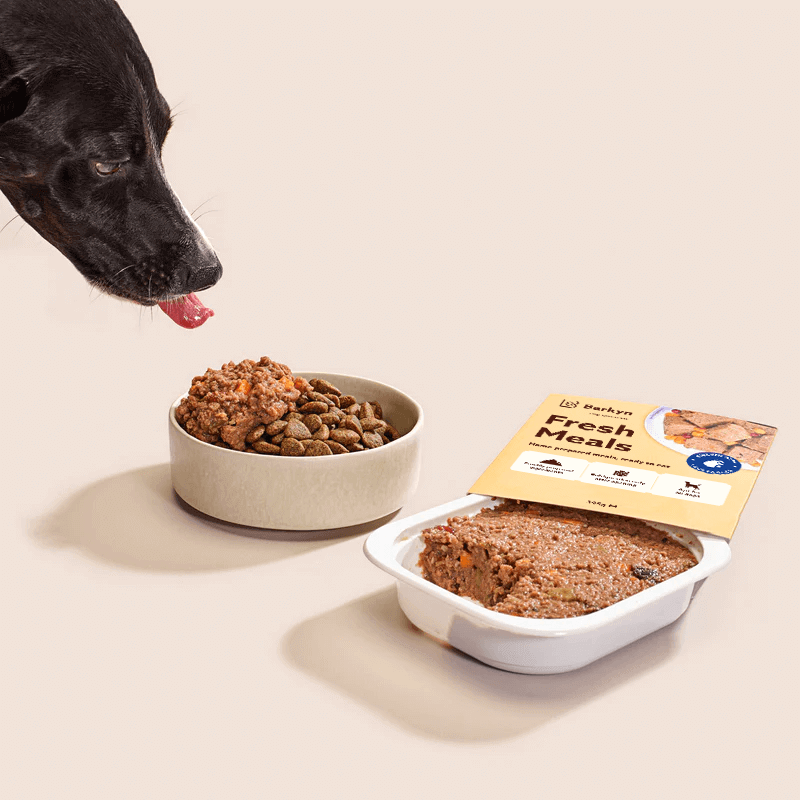 Pack Pelo – Meno perdita, più lucentezza