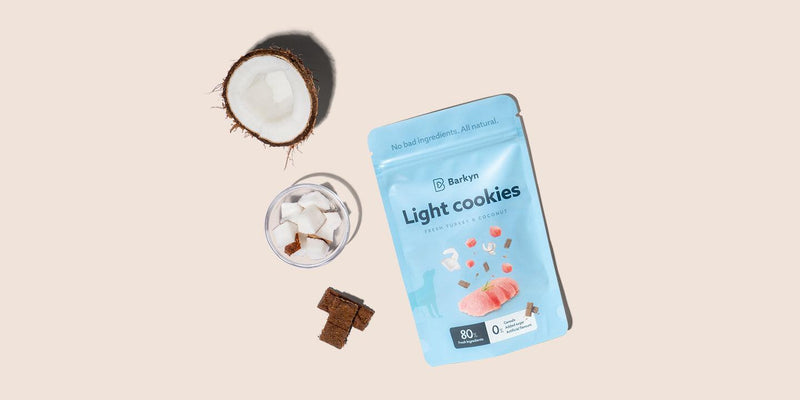 Biscotti light al cocco - Barkyn Store