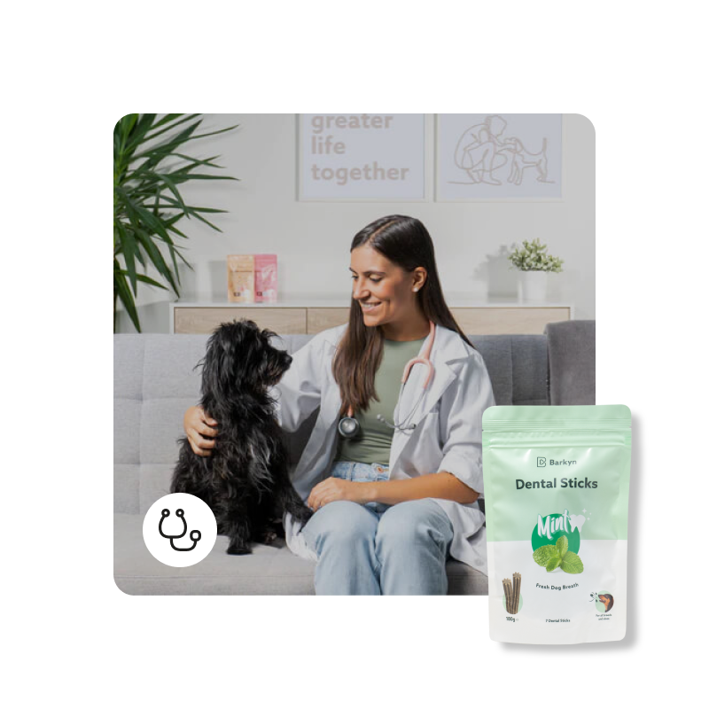 Consulto di igiene orale + Dental Sticks alla menta