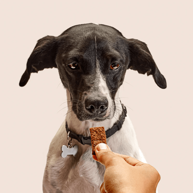 Biscotti light al miele e cannella - Barkyn Store