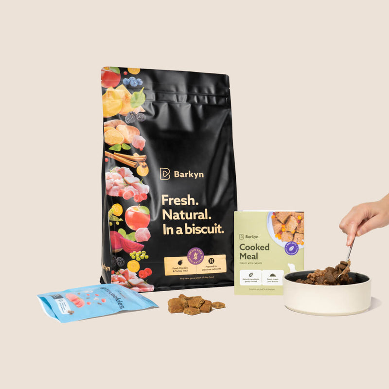 Bundle 2 - Barkyn Store