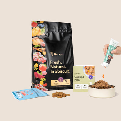 Bundle 3