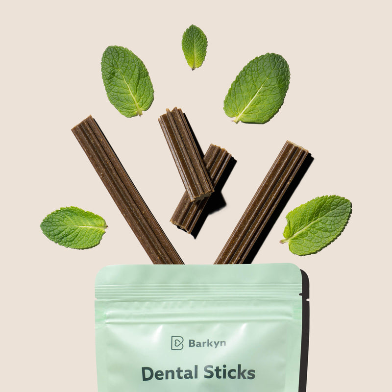 Free 5x Dental Sticks alla menta