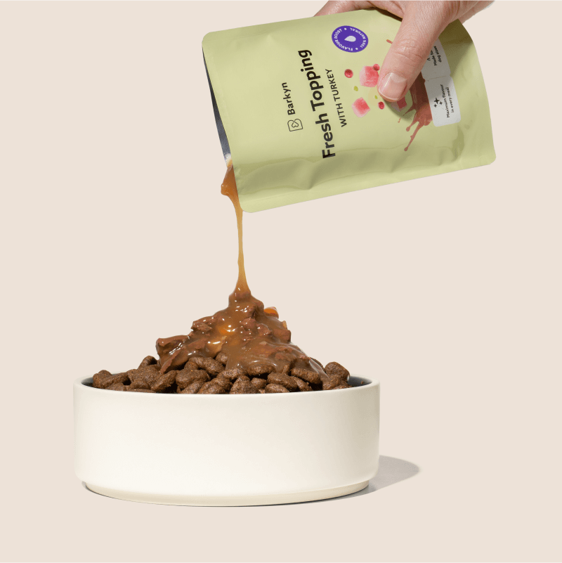 Topping naturale al tacchino e mirtilli rossi - Barkyn Store