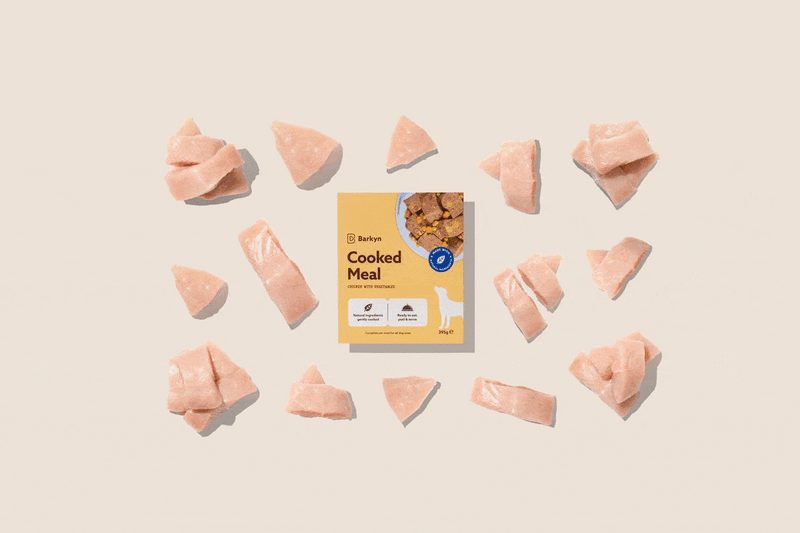 Cibo umido: tacchino e carote - Barkyn Store