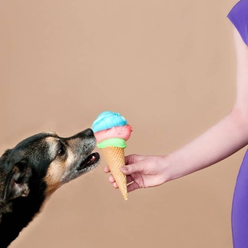 5 ricette per cani cuccioli