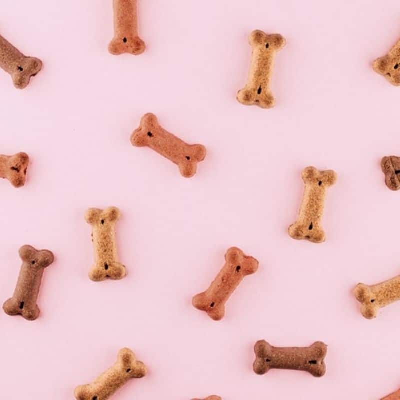 Biscotti per cani fatti in casa: 3 ricette facili e gustose