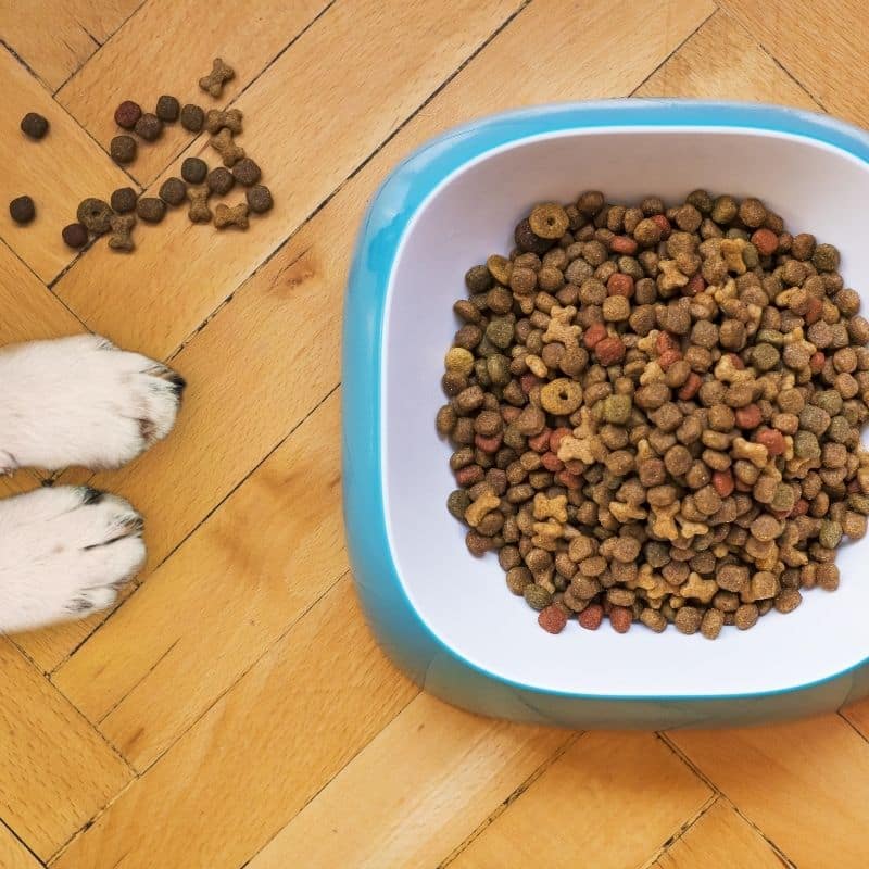 Si possono dare due tipi di crocchette al cane?