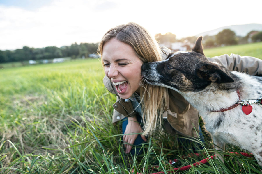 Cosa vuol dire quando il cane ti lecca l’orecchio?