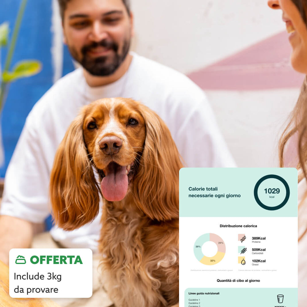 Il piano di longevità del tuo cane