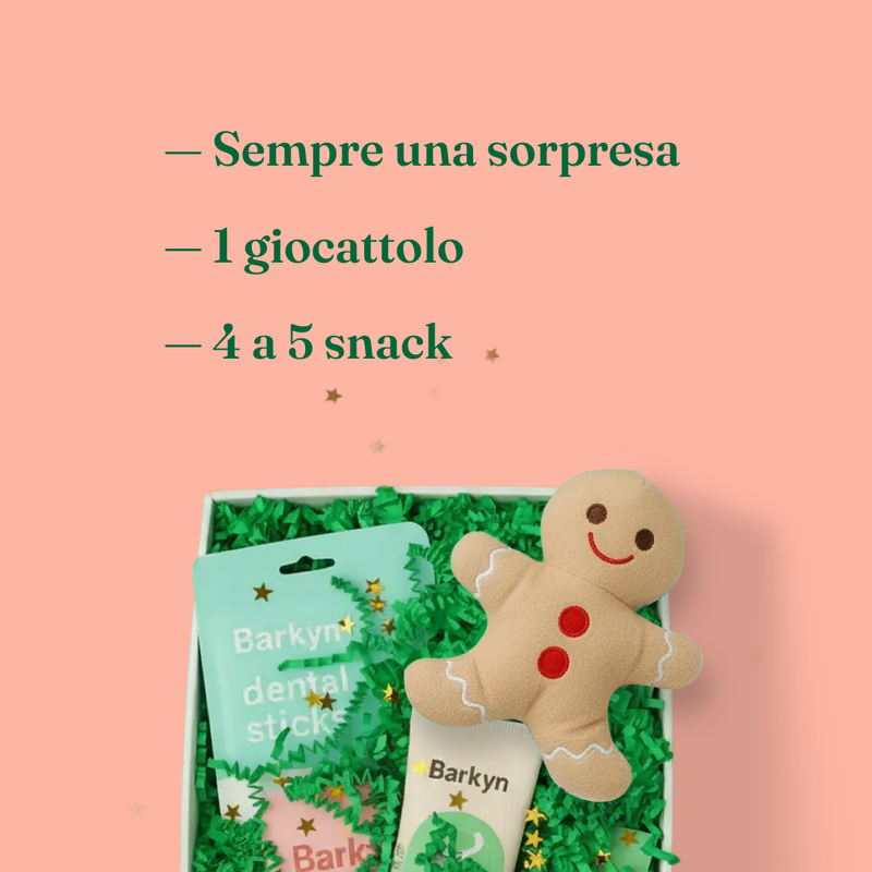 Surprise Box di Natale (Edizione 2025)