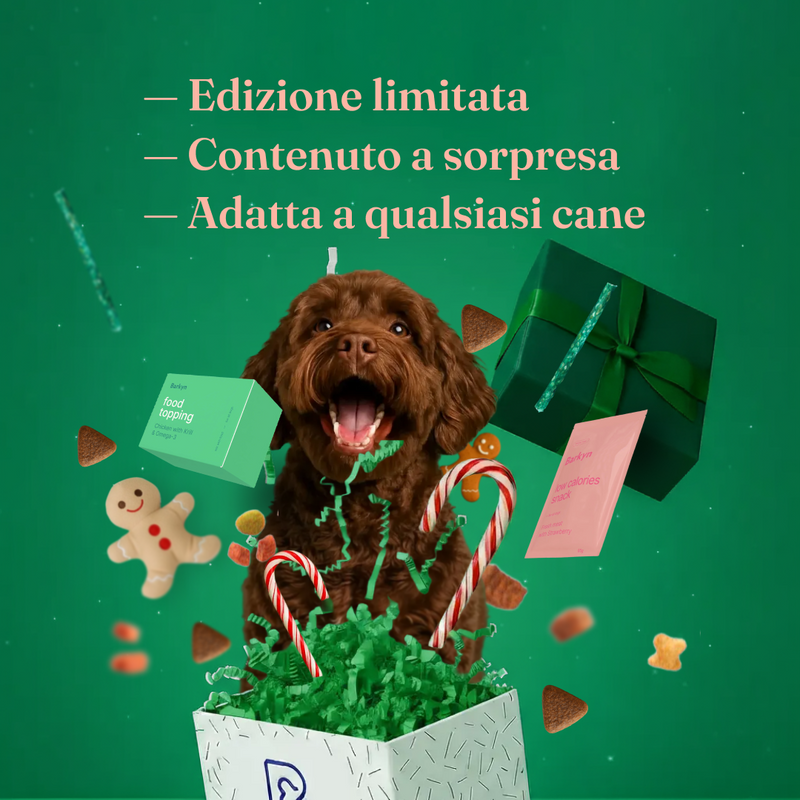 Surprise Box di Natale (Edizione 2025)