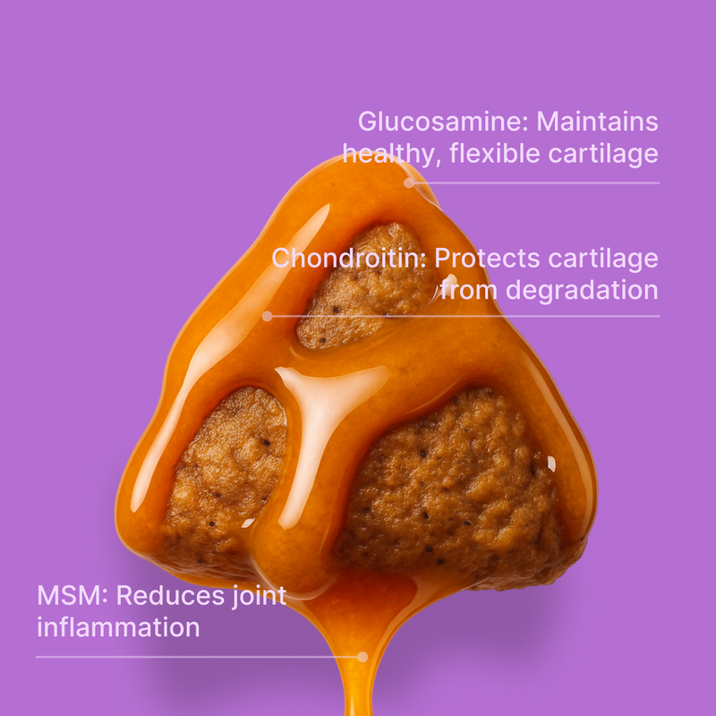 Free Integratore Mobility Care