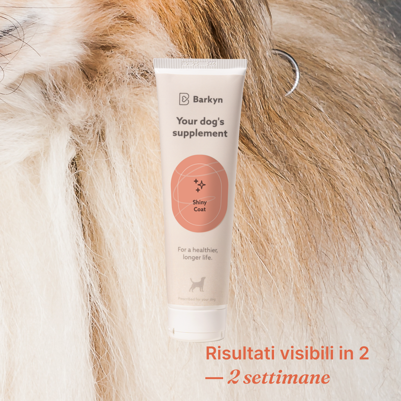 Integratore per Shiny Coat