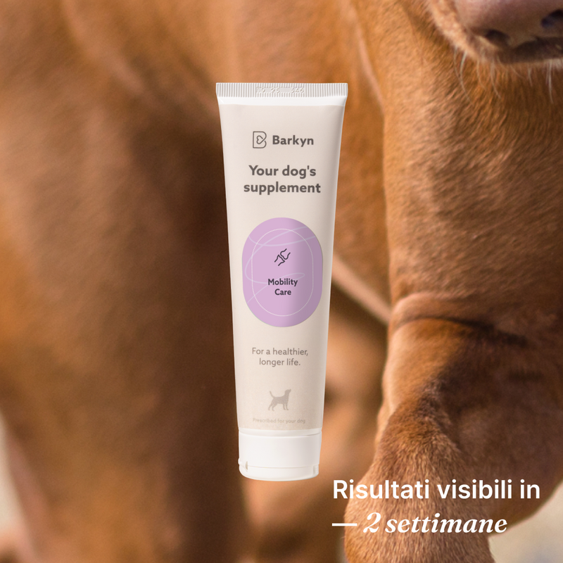 Free Integratore Mobility Care