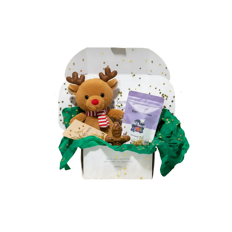 Surprise Box di Natale (Edizione 2025)