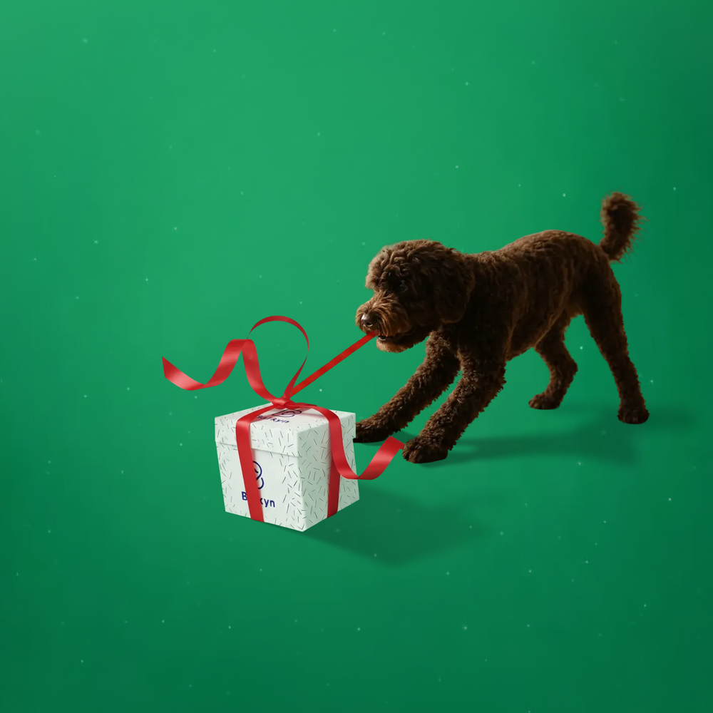 Surprise Box di Natale (Edizione 2025)