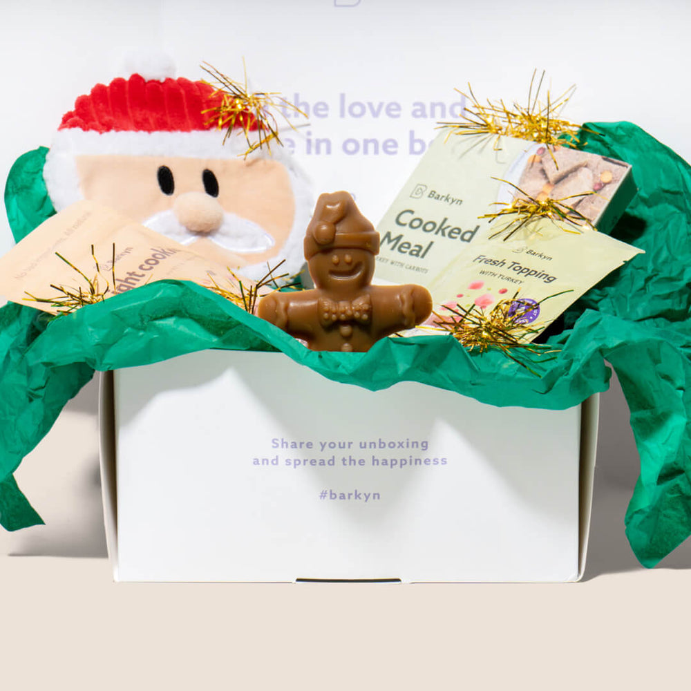 Surprise Box di Natale