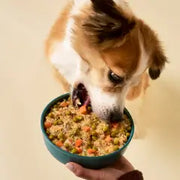 Alimentazione