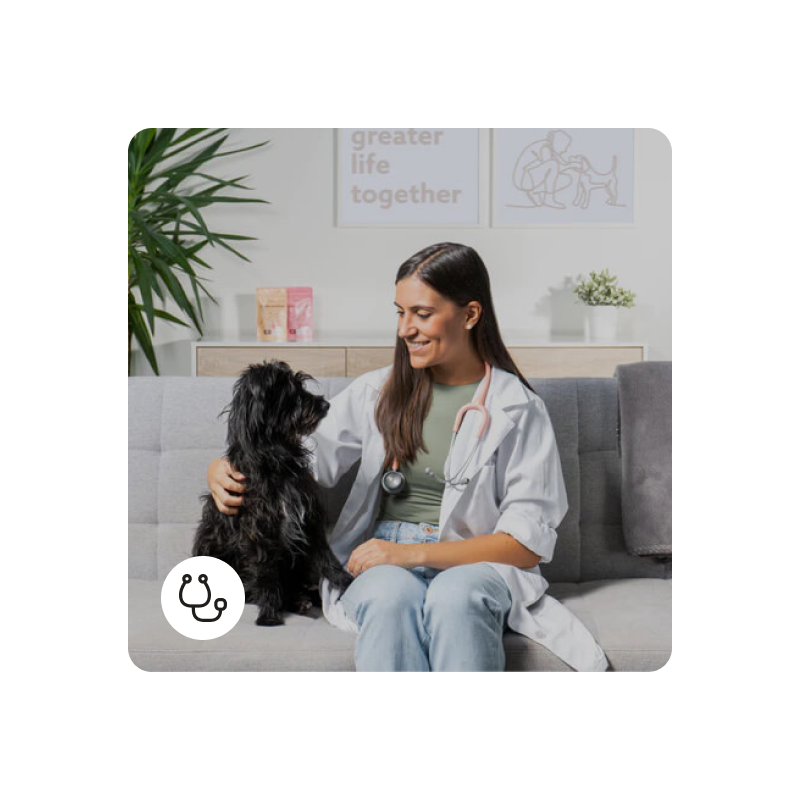 Consulto riguardo agli antiparassitari