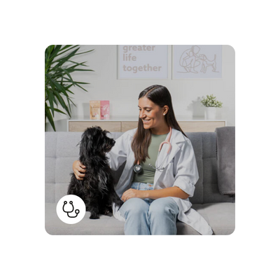 Consulto riguardo agli antiparassitari