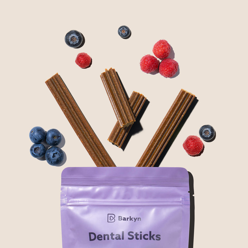 Dental Sticks ai frutti di bosco