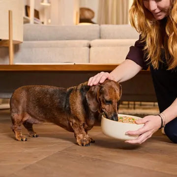 Una padrona che dà la ciotola di cibo fresco Barkyn al suo cane, a casa